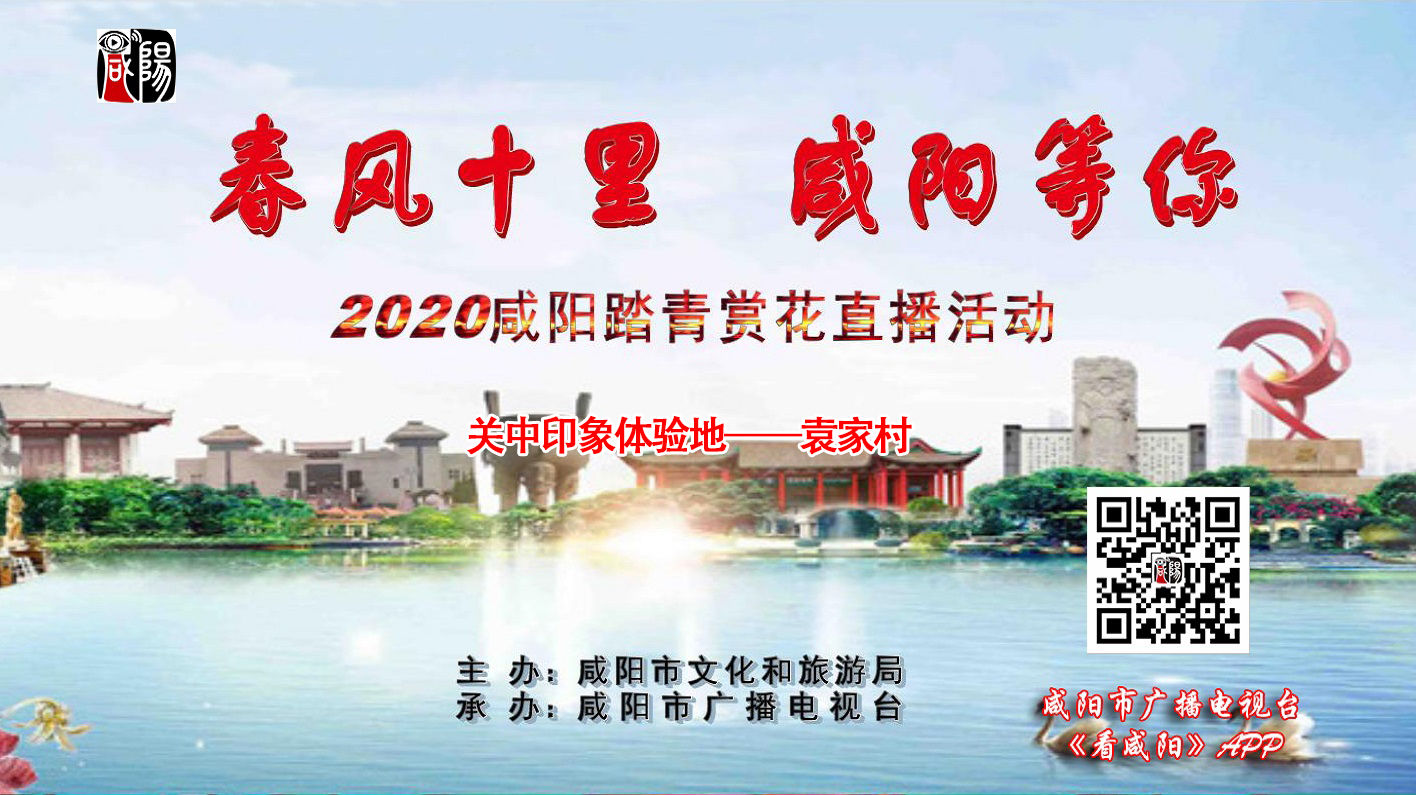 【直播回看】“春风十里 咸阳等你”2020咸阳踏青赏花直播活动第二站——袁家村