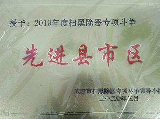 武功县荣获“2019年度全市扫黑除恶专项斗争先进县”称号