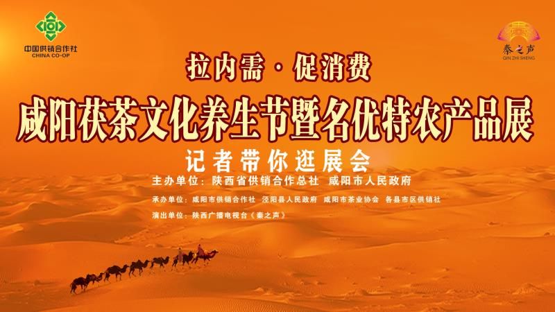 【直播回看】“拉内需、促消费”咸阳茯茶文化养生节暨名优特农产品展销活动—记者带你逛展会