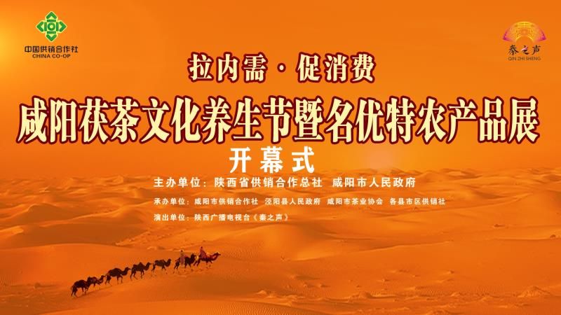 【直播回看】“拉内需、促消费”咸阳茯茶文化养生节暨名优特农产品展销活动开幕式