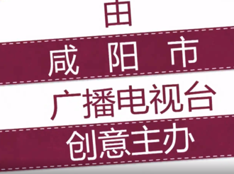 【微视频大赛作品126】2020咸阳市微视频创意作品大赛宣传片