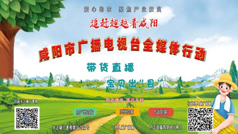 【直播回看】咸阳市广播电视台全媒体行动带货直播宝贝出“县”