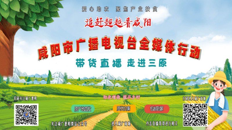 【直播回看】咸阳市广播电视台全媒体行动带货直播宝贝出“县”