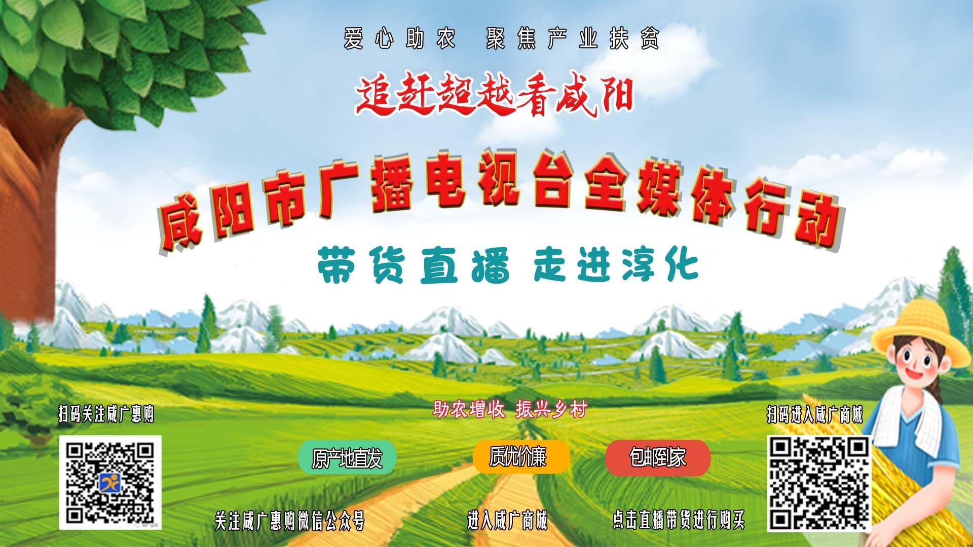 【直播回看】咸阳市广播电视台全媒体行动带货直播宝贝出“县”