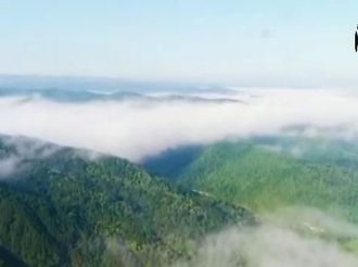 【西部国际商贸城·微视频大赛作品151】咸阳旬邑马栏山现云海景观 
