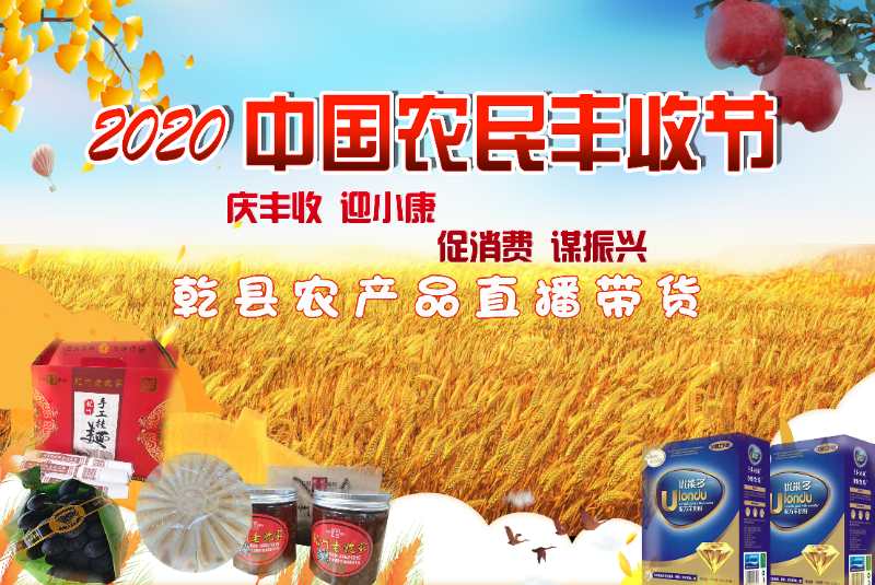 【直播回看】“庆丰收、迎小康”中国农民丰收节乾县农产品直播带货