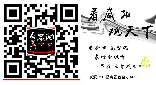 半岛体育陕西养老保险App”增加新功能 实现陕西省养老保险关系跨省转移(图1)