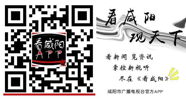 贝搏体育咸阳市新兴纺织工业园举行一季度重点项目集中开工仪式(图4)