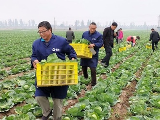 兴平汤坊镇：示范引领产业兴