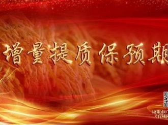 增量提质保预期|淳化：对照清单聚焦重点 奋力冲刺全年目标