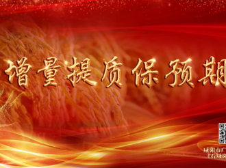 增量提质保预期 | 彬州：上下齐心靶向发力稳增长