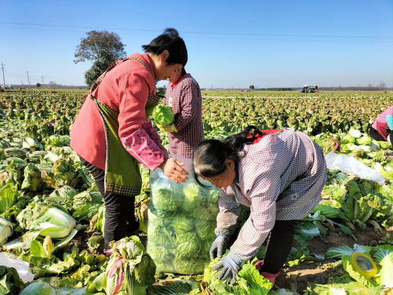 【疫情防控】兴平市：保障市民的“菜篮子”，助力疫情防控
