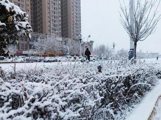 走！带你去看长武最美雪景……