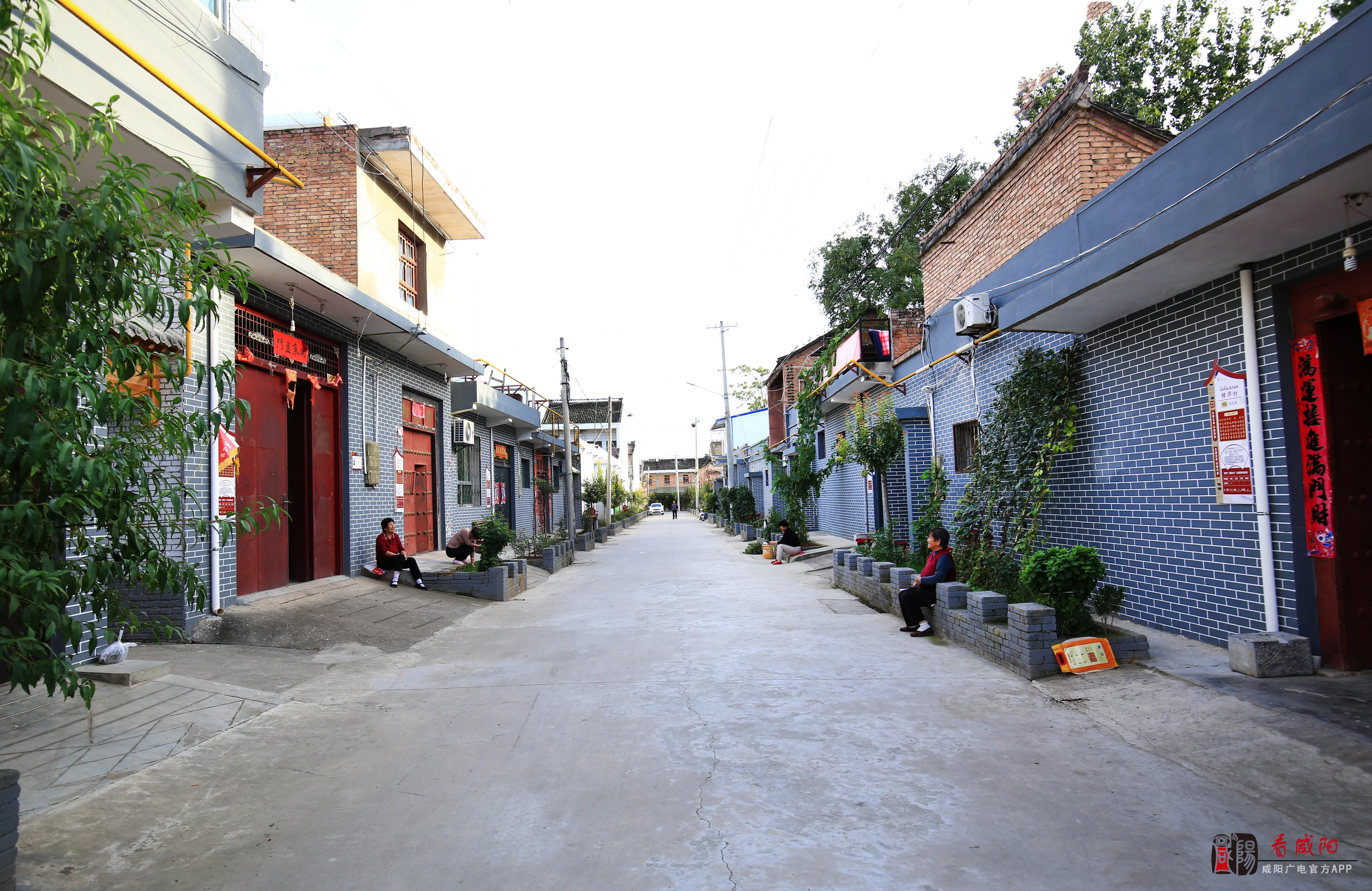 武功县武功镇被评为陕西省“美丽乡村 文明家园”建设示范点
