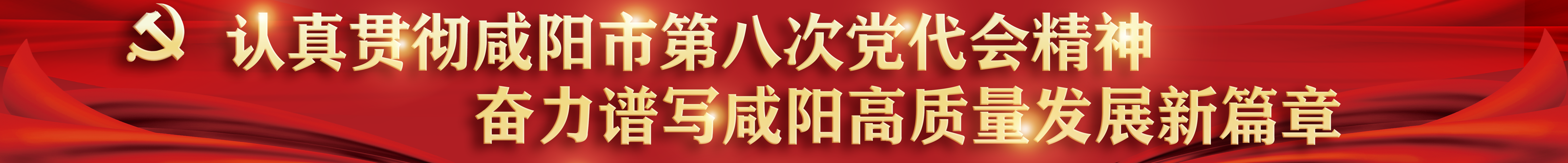 認真貫徹咸陽市第八次黨代會精神 奮力譜寫咸陽高質量發展新篇章