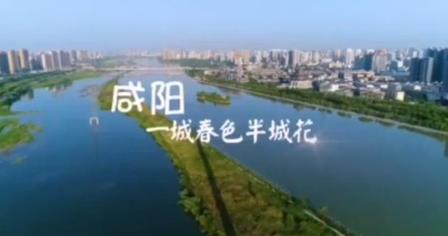 【视频】春天里的咸阳|咸阳：一城春色半城花