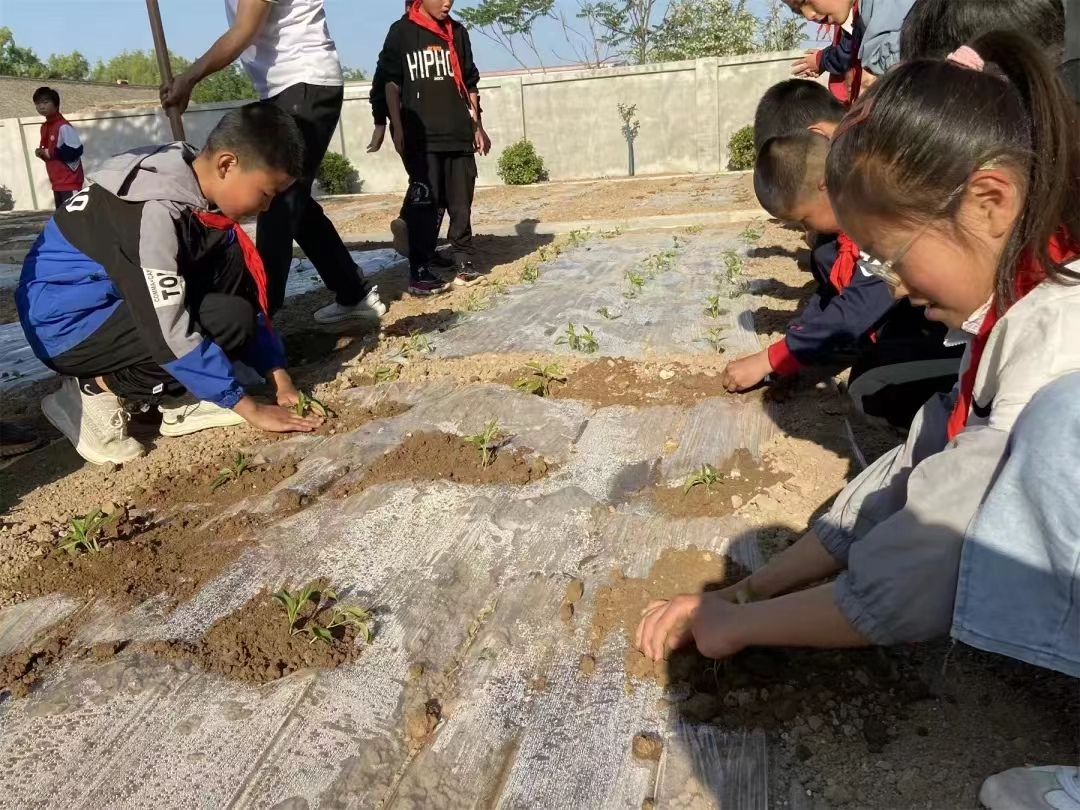 淳化：一堂生动的田间实践课