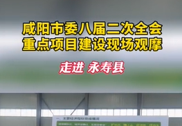 【视频】咸阳市委八届二次全会重点项目建设现场观摩走进永寿县