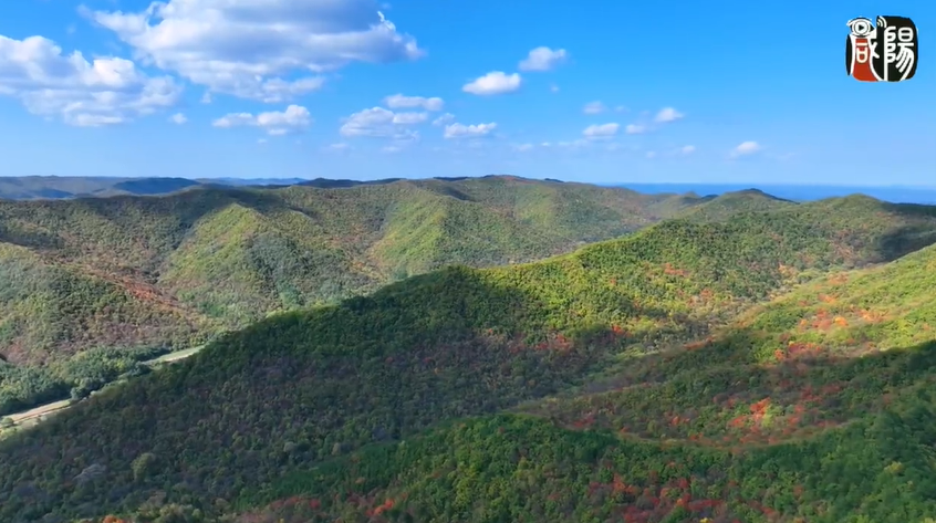 【視頻】旬邑：秋染馬欄山