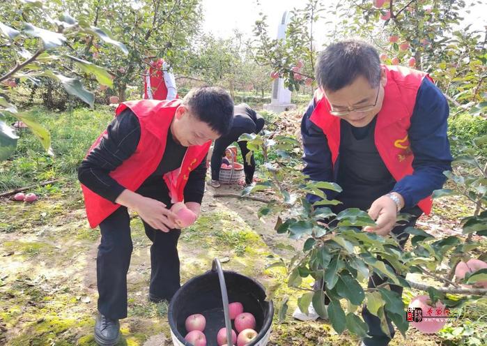 【金融界】工行咸陽乾縣支行組織開展助農(nóng)秋收主題黨日活動