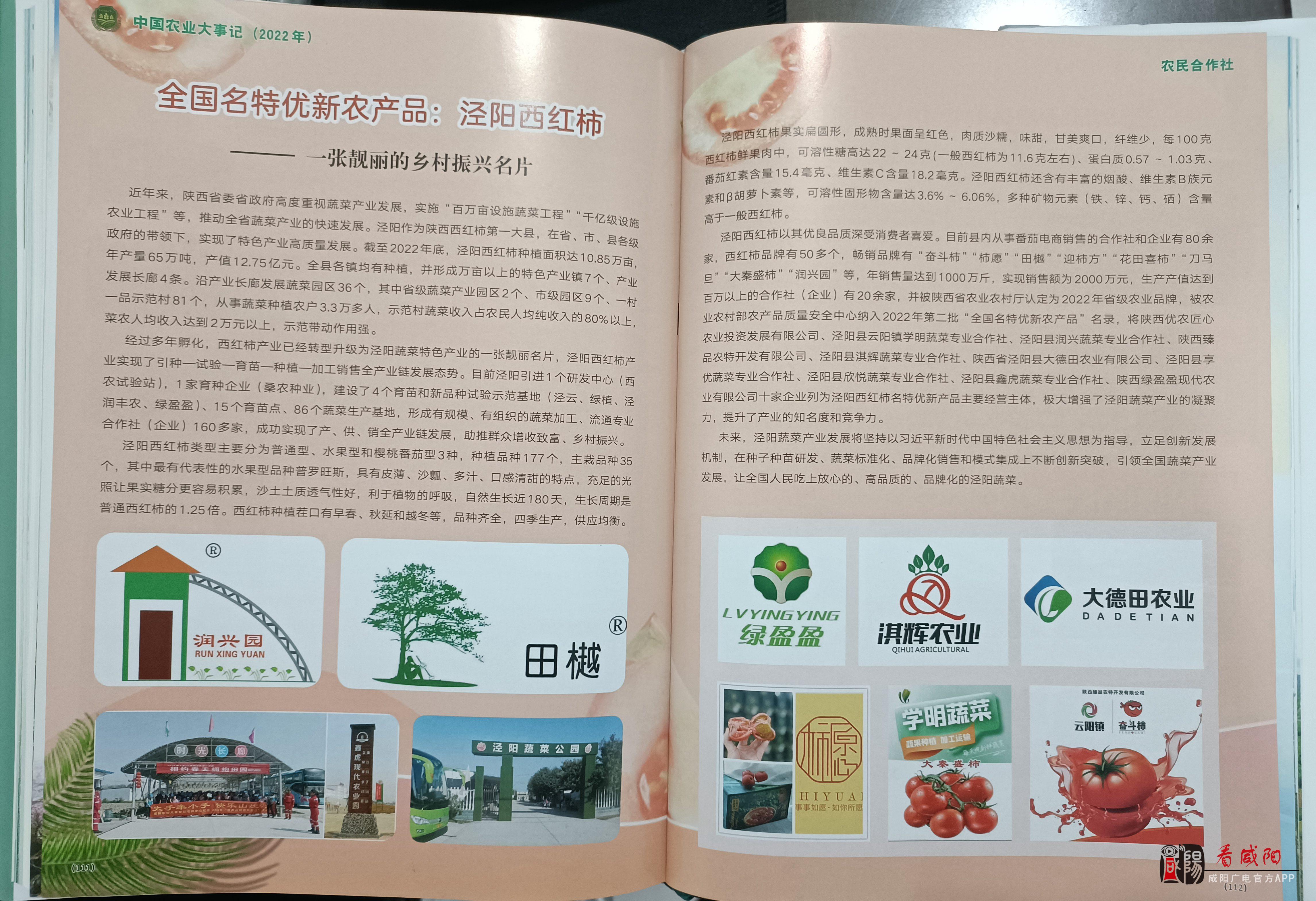 《全国名特优农产品——泾阳西红柿》编入《中国农业大事记》一书