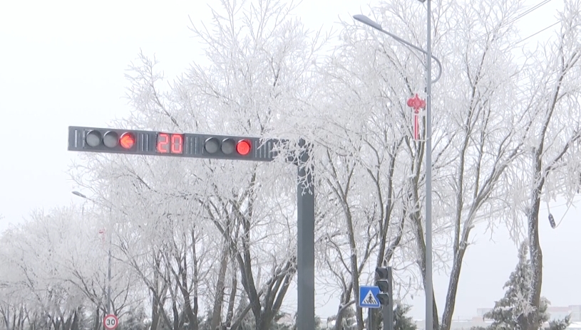 彬州：瑞雪悄然落 雪景映小城