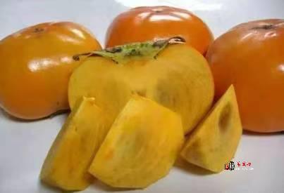 “泾阳柿子”上榜全国名特优新农产品名录