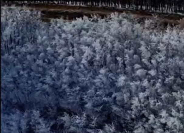 【视频】礼泉雪景上线，隔着屏幕看都觉得美！
