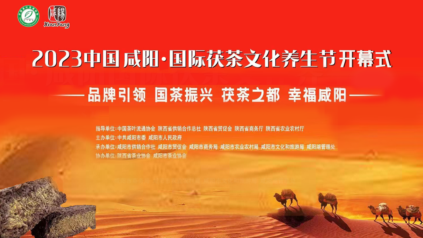 【直播回看】2023中國咸陽 · 國際茯茶文化養生節開幕式