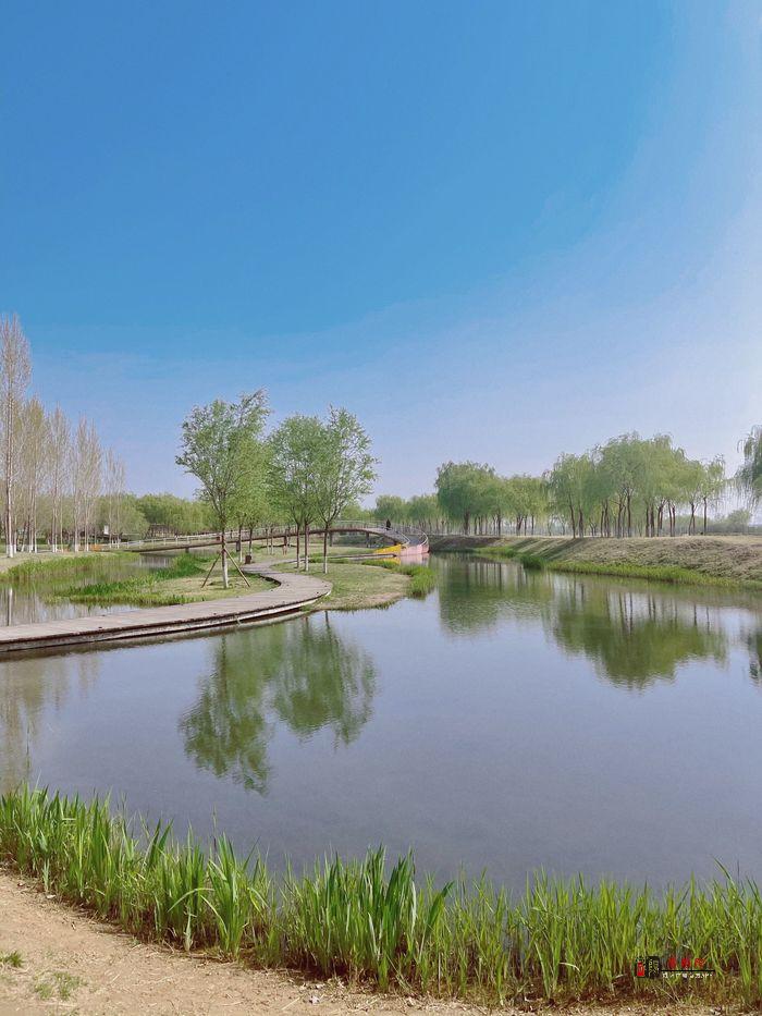 不负春光 相约咸阳丨春日里的渭柳湿地公园 邀你共赏生态和谐之美