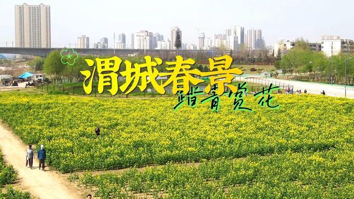 【视频】渭城春景·踏青赏花