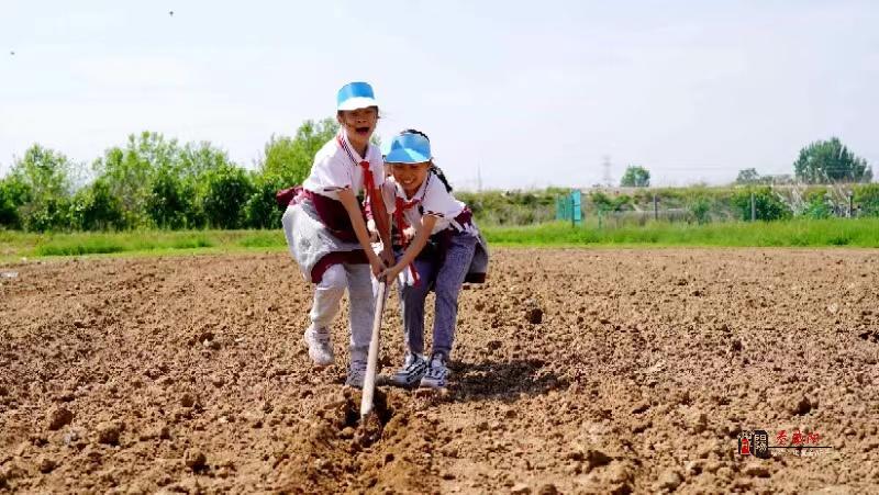 涇陽：勞動實踐研學(xué)助力“雙減”落地