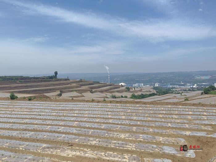 彬州市韩家镇：建设高标准农田 助推粮食稳产