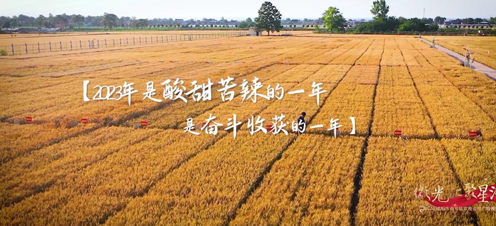 2024年咸阳市春节联欢晚会推广视频——一粒种子育出“新梦想”