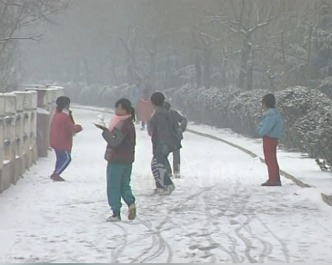 【视频】忆咸阳 | 1995年冬天的第一场雪 满满都是回忆……