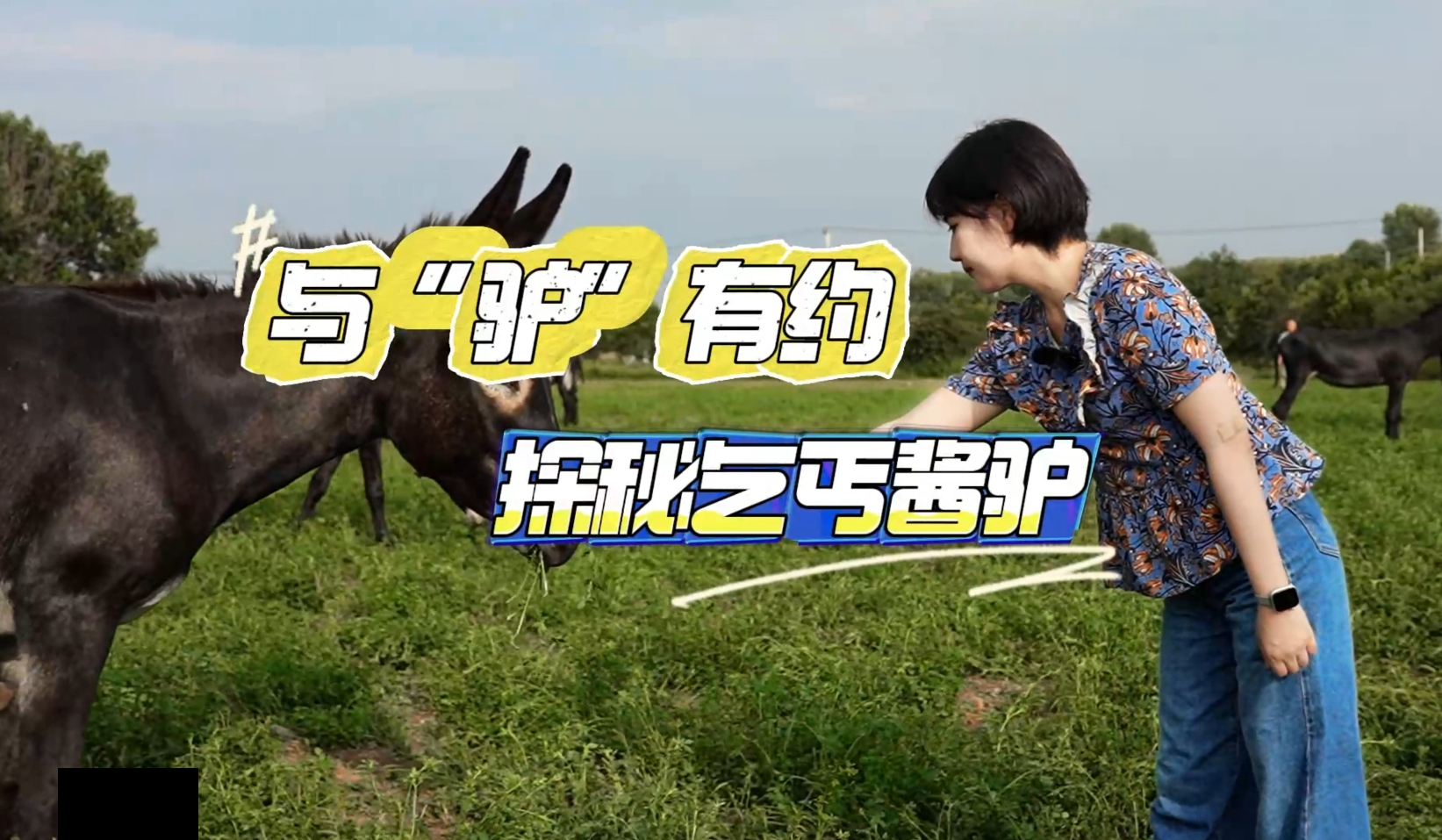 【视频】与“驴”有约，探秘乞丐酱驴