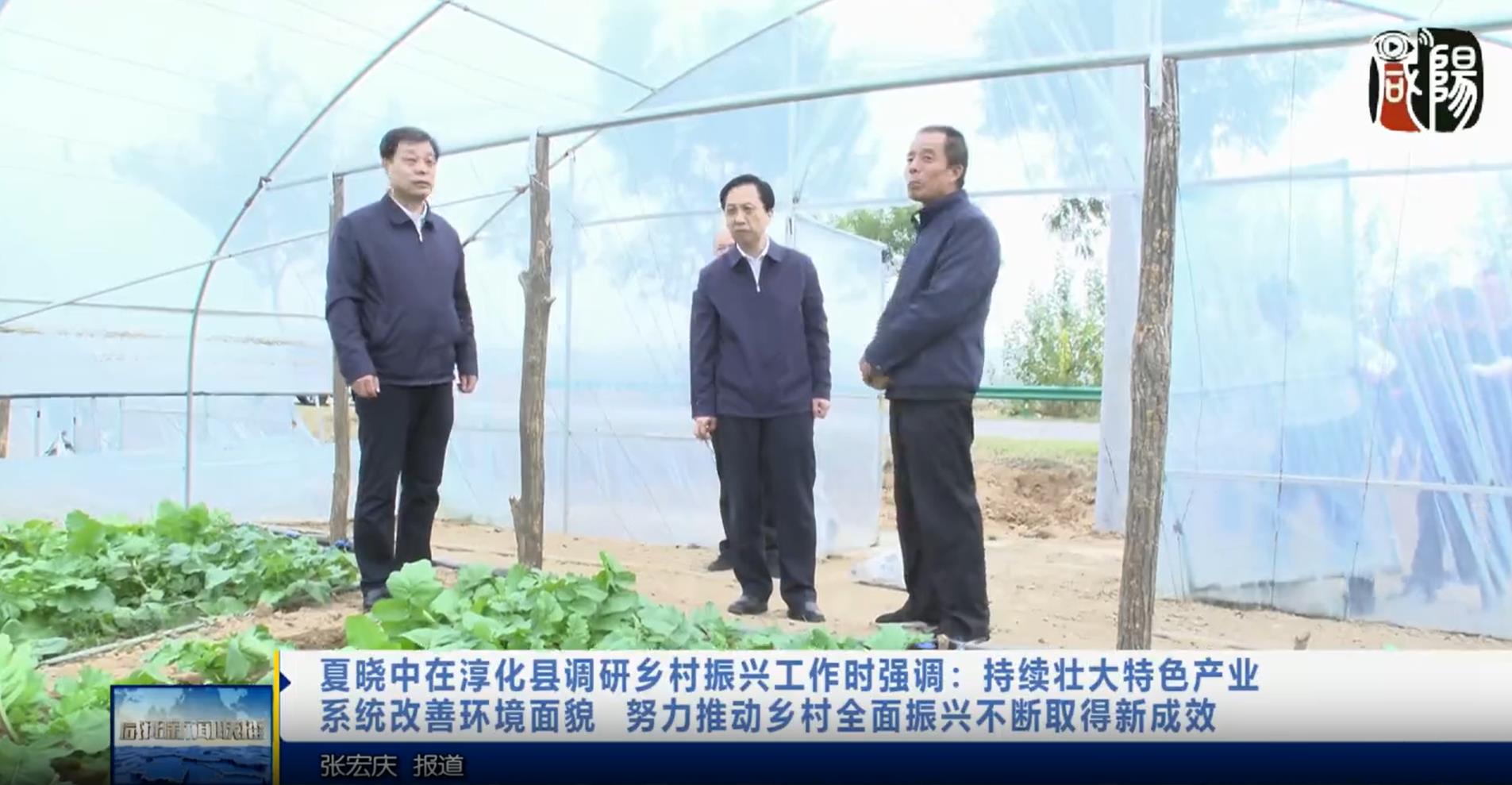 【视频新闻】夏晓中在淳化县调研乡村振兴工作时强调：持续壮大特色产业  系统改善环境面貌  努力推动乡村全面振兴不断取得新成效