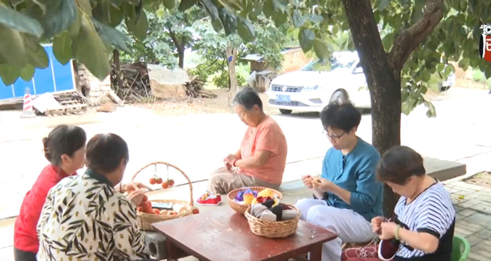 【視頻新聞】我市大力實施“鄉(xiāng)村振興巾幗行動”  促進婦女增收致富