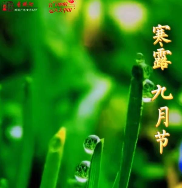 【視頻】寒露節(jié)氣 天寒露重 愿您珍重