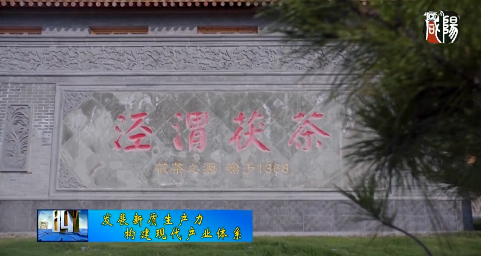 【视频新闻】我市充分挖掘优势资源 加快推进茯茶产业高质量发展