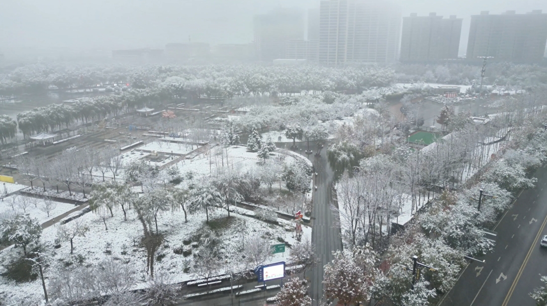 【视频】长武：冬雪浪漫 诗意人间