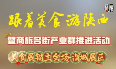 【视频】“跟着美食游陕西”暨商旅名街产业群推进活动|美食展销主会场——渭城展区