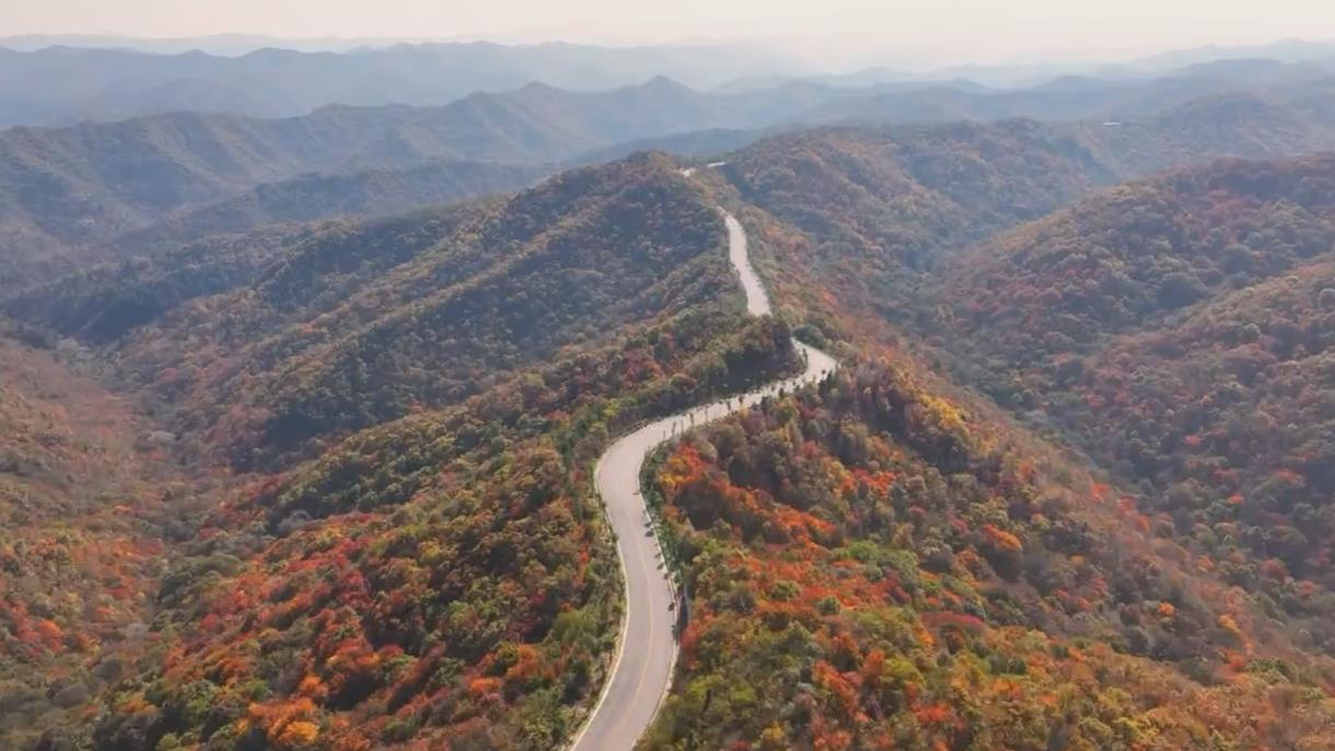 【视频】旬邑：石马路 串起一路好风景