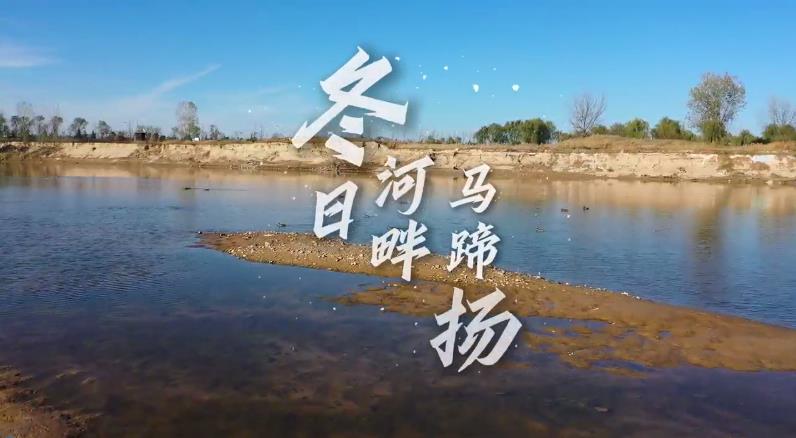 【視頻】興平：冬日河畔馬蹄揚