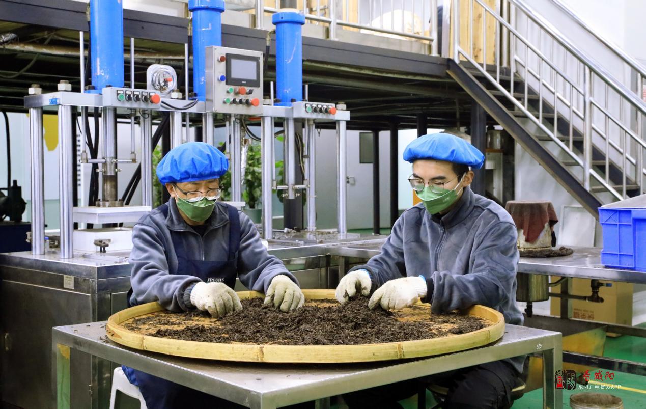 陕西移动咸阳分公司：5G+智慧旅游赋能茯茶产业焕新