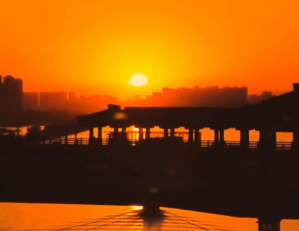 【视频】夕阳洒落咸阳湖，邂逅一场诗画梦境