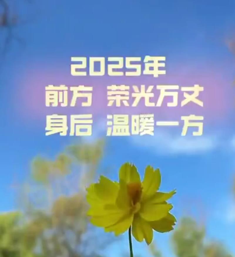 【視頻】2024·你我他·咸陽瞬間