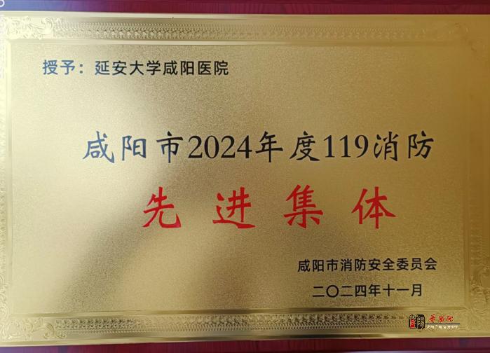 延安大学咸阳医院荣获全市119消防先进集体荣誉表彰