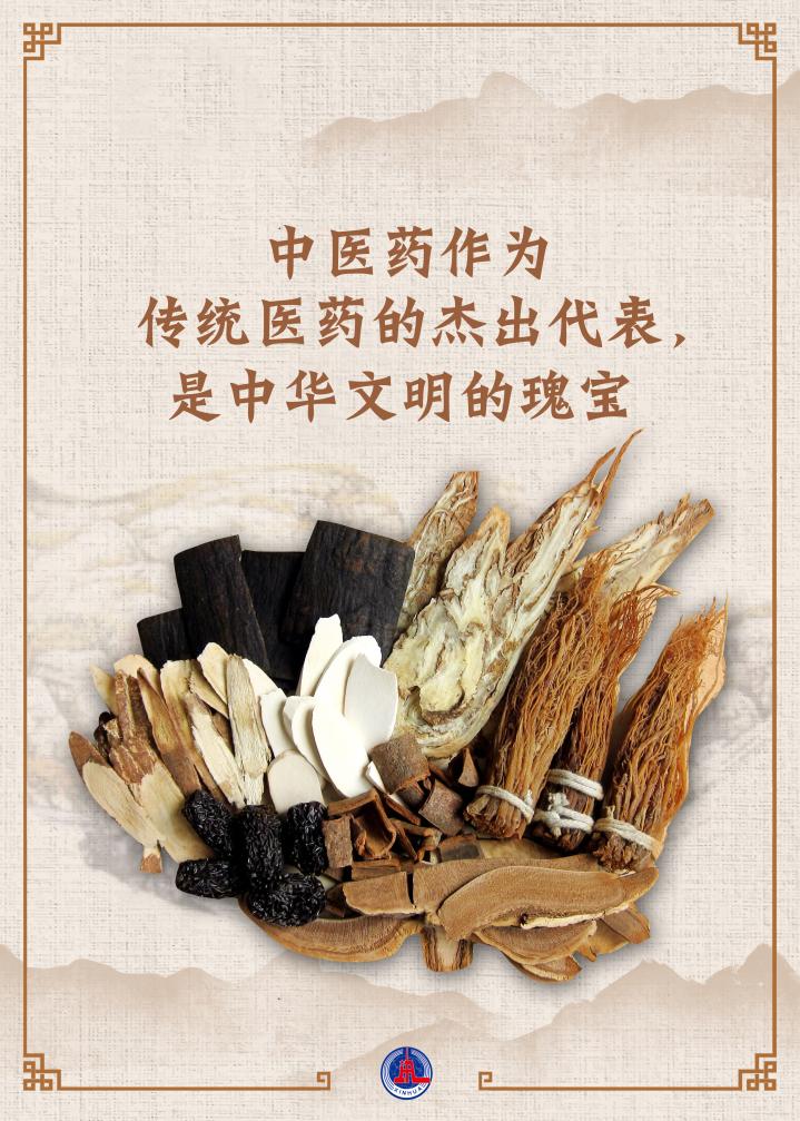 2024世界傳統(tǒng)醫(yī)藥大會(huì)聚焦“多元、傳承、創(chuàng)新”