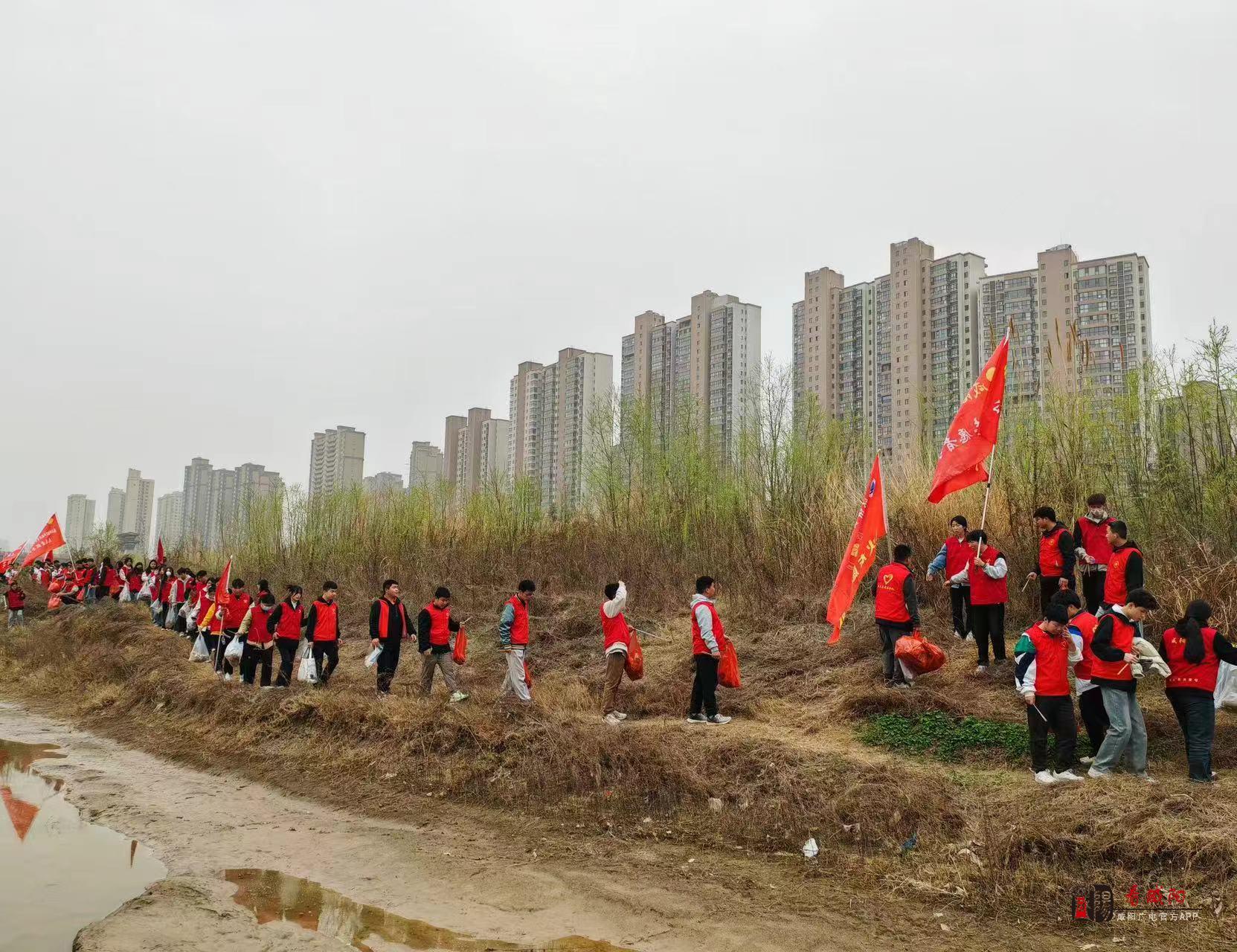 咸阳300名青年志愿者守护“母亲河”